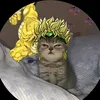 sanzhs2