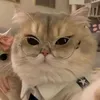 umibytes