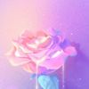 emoryrose2023