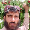 bissmiullah76