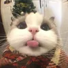olivia.meiii