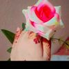 rizwansadgirl.0
