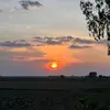 sreiny123