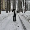 le.sim_10