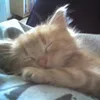 nmtuanww