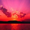 lee_777800