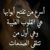moawiakhalifa3