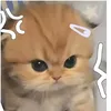 ryanalouise27