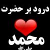 user5024384811356