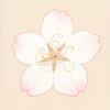 petalverse8