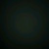user4445810576344