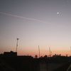 lanxx786