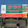 HTX TÂN HIỆP