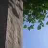 danik7790