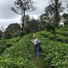 siti.ningrum82