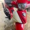 baorey0