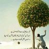 falak545685