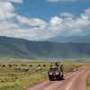 beast travels