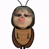 vkiuu_00