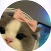 sweetiepie_894