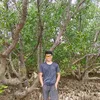 3jhie_1999