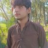 user065293906