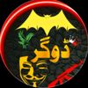 jani.dogar01