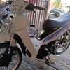 den.mas88