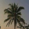 ibrahim.kholil4136