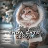 Snow_cats_team