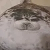 fatsealplushobsessed