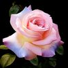 user2008669051958