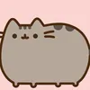 kittynewgang