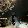 arcae_19