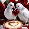 user2871278815152
