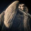 angelnumb7