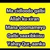 umma.ibraahim