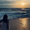 angy_birds7