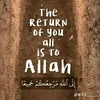 user910525449