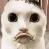 dontfortgetaboutme