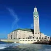hasnimahrez31