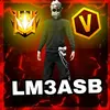 lm3asb_ff