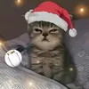 mrjohnnn0