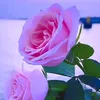 user2579133377096