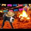 felipe.caldeirabo