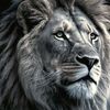 sabour_abderrahmane