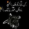 ahmed.abdelatty47