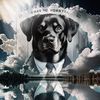 zarathepawyerrottie