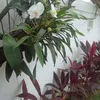 carlos.alberto.de710