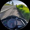 luizrodriguez9181